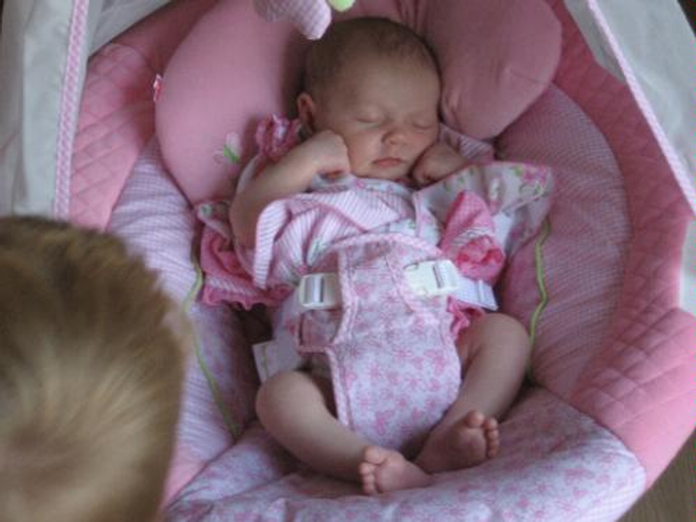 Электрокачели Бабочки Fisher Price — 9-0258