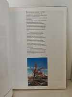 Финляндия сегодня