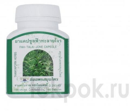Капсулы Фа Талай Джон Thanyaporn Herbs Fah-Talai-Jone, 100 капсул