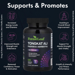 Forest Leaf, эврикома длиннолистая, фадогия и BioPerine®, 120 растительных капсул