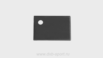 Training throwing plate