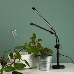 Настольный светильник для растений ЭРА FITO-20W-АLED-Ra полного спектра 20 Вт черный