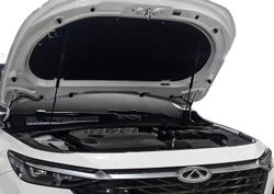 Упоры капота для Chery Arrizo 8 2023-н.в., 2 шт., UCHARR011