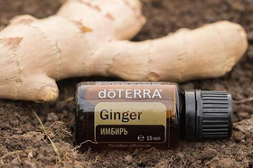 Эфирное масло doTERRA Имбирь, Ginger, 15 мл