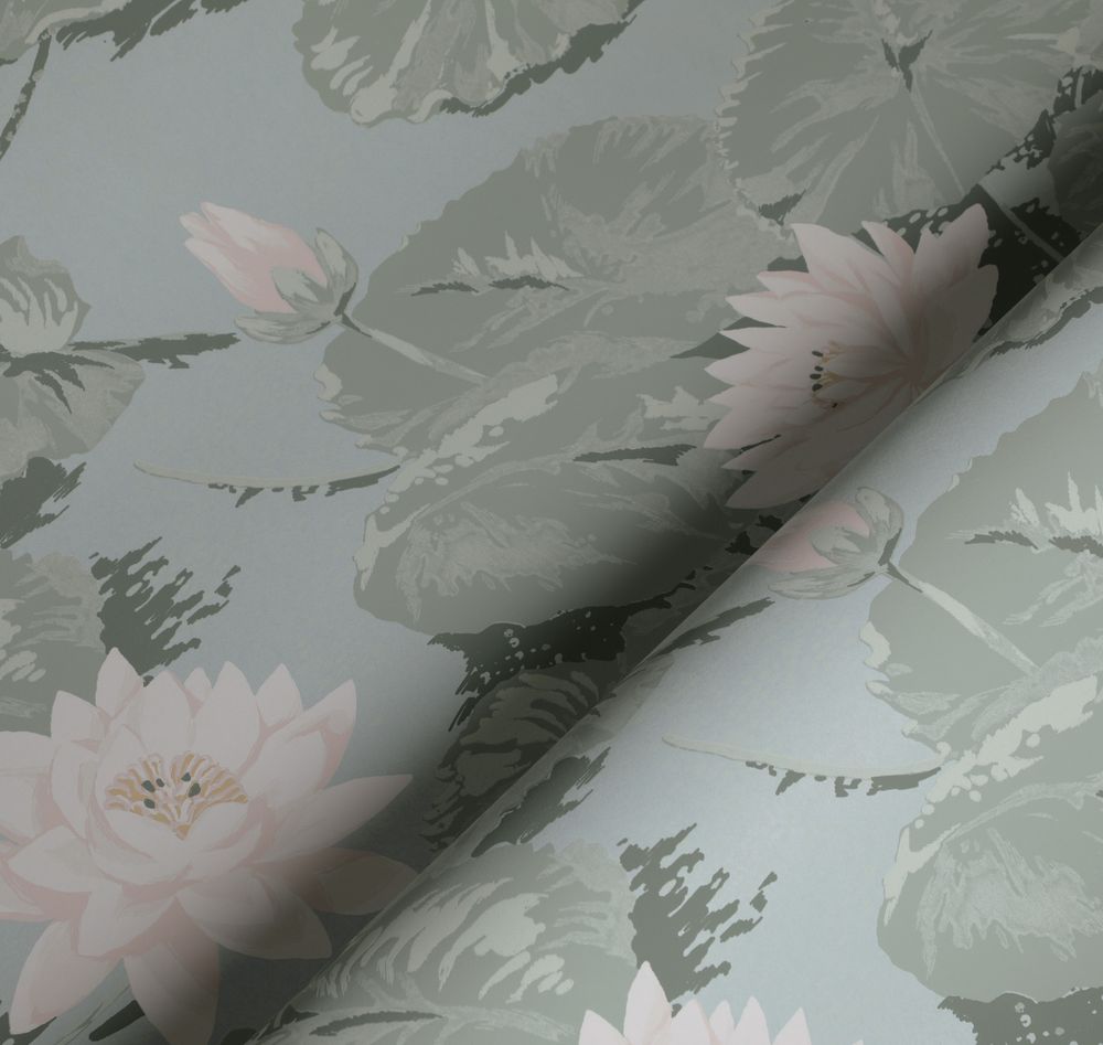 Шервуд Нимфея Альба