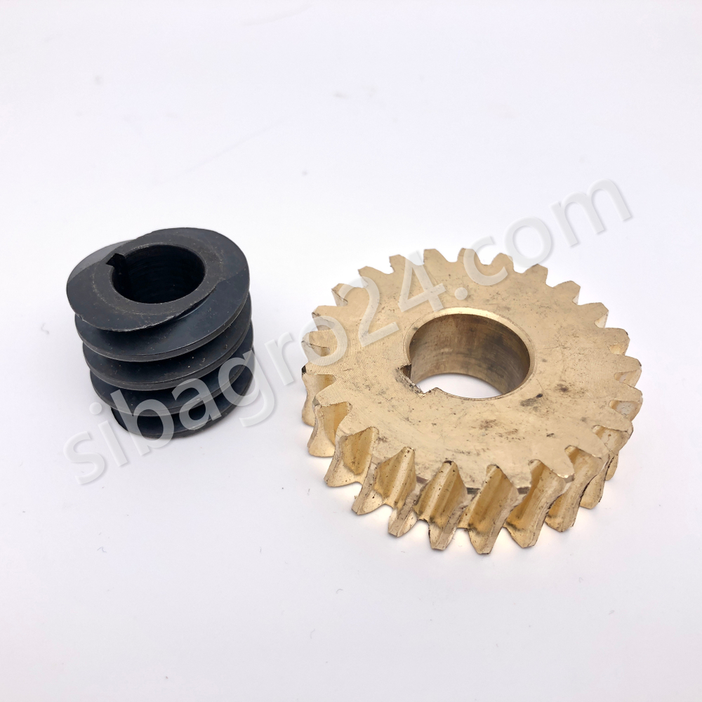 Червячная пара в редуктор миксера B-10