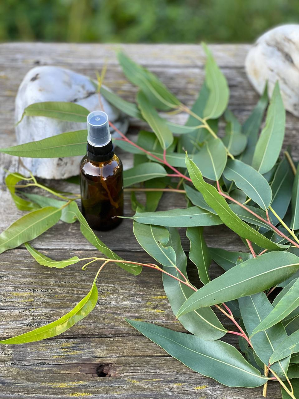 Гидролат эвкалипта лимонного