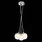 Подвесная люстра ST Luce Dualita SL431.113.03