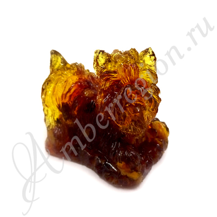 Йорк-игривый