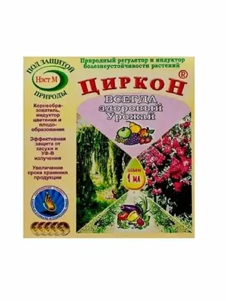 Циркон