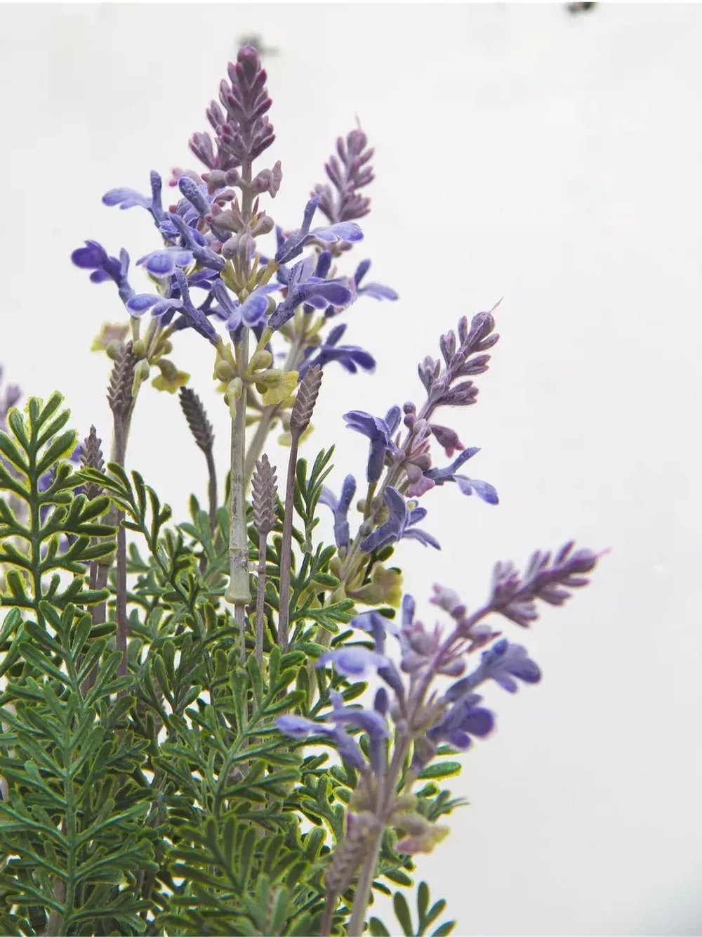 Искусственные цветы для декора в кашпо