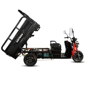 Грузовой электрический трицикл WHITE SIBERIA SIBTRIKE CARGO 1.5 1500W (60V/48Ah) фото №3
