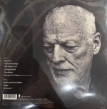 Виниловая пластинка David Gilmour ‎– Luck And Strange LP Green