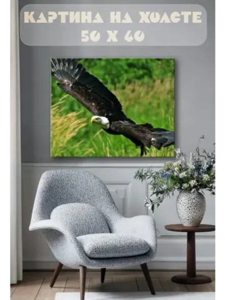 Картина на стену 40 X 50 Орел