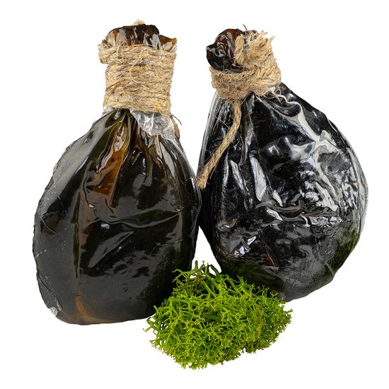 Желчь медведя «сухая» (от 20-35 г.)