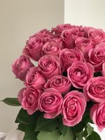 Букет из розовой розы (50см) 25 шт под ленту