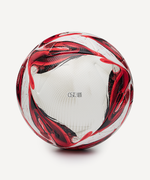 Мяч футбольный Triumph Elite №5