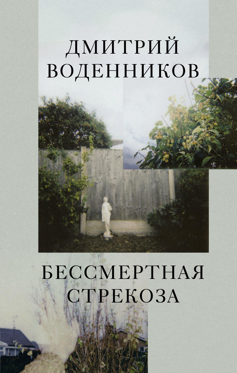 Бессмертная стрекоза