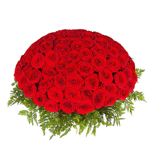 Траурная корзина из живых цветов «100 бордовых роз, папоротник»