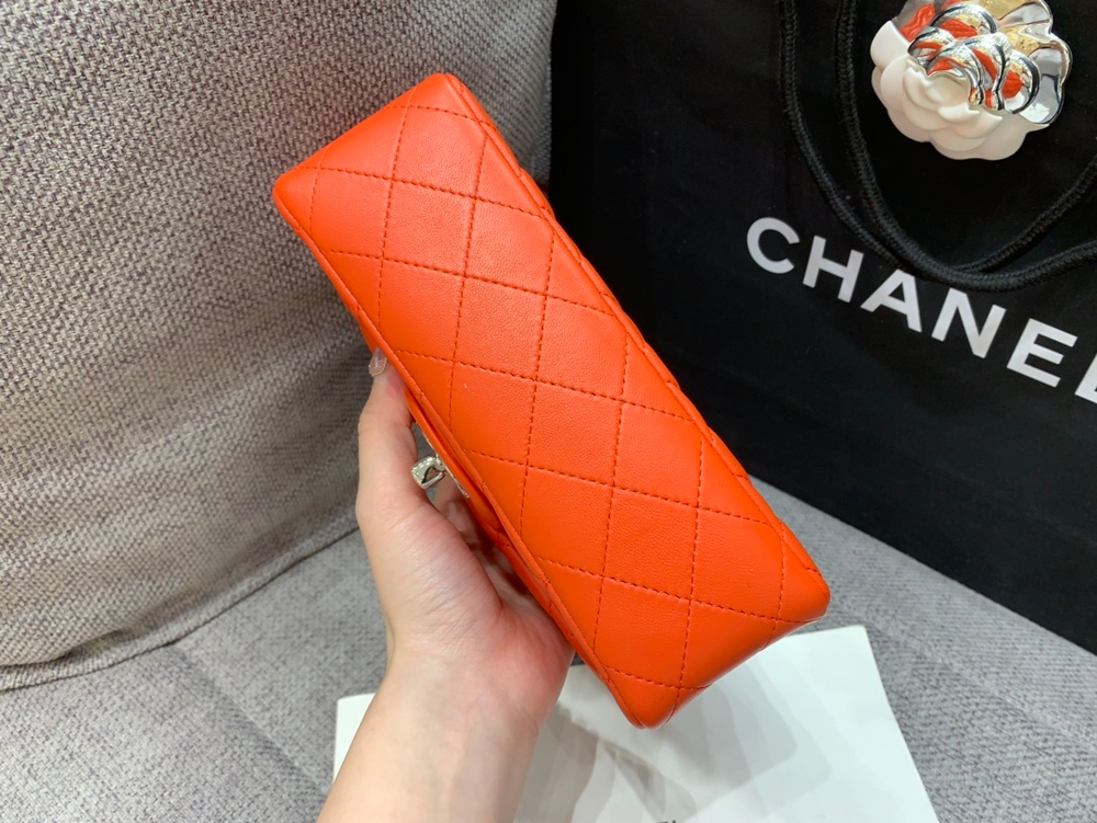 Chanel Bag 20 cm