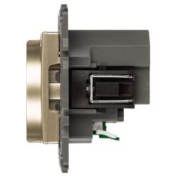 Розетка ЭРА Elegance 14-4108-04 2P+E 16A-250В со шторками с USB type-A+C 5В-3А шампань