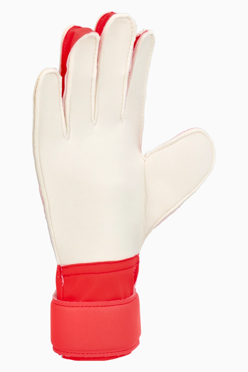 Вратарские перчатки adidas Predator Training