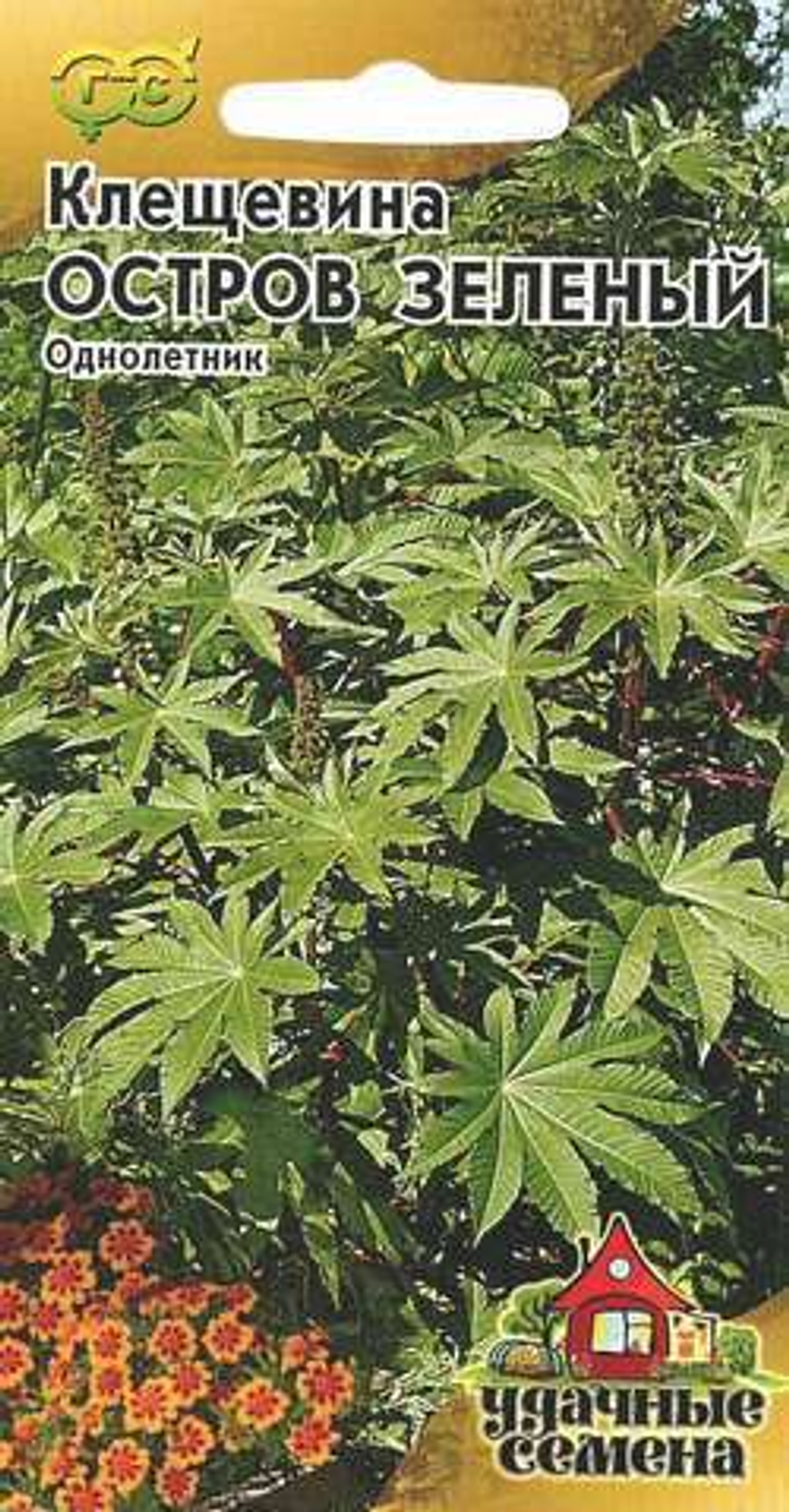 Клещевина Остров Зеленый 5шт /Удачные семена  / гавриш