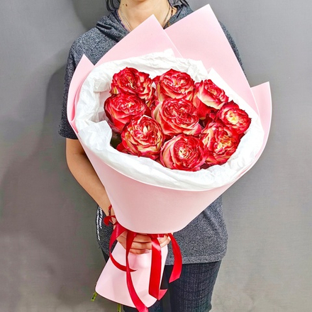 Букет из 9 одиночных роз сорта "Apple Jack" (Эквадор 60 см)