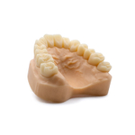 Смола Dental Model Beige, цвет Beige