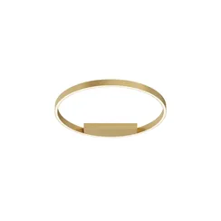 Потолочный светильник Рим / Rim 2600-3500К 35Вт Maytoni mod058cl-l35bsk