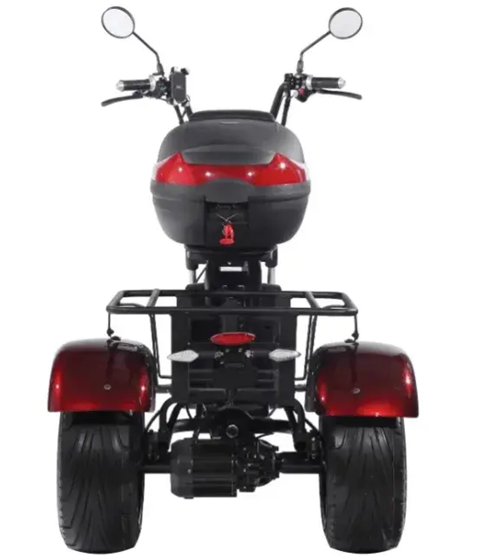 Электроскутер SKYBOARD CITYCOCO TRIKE BR80