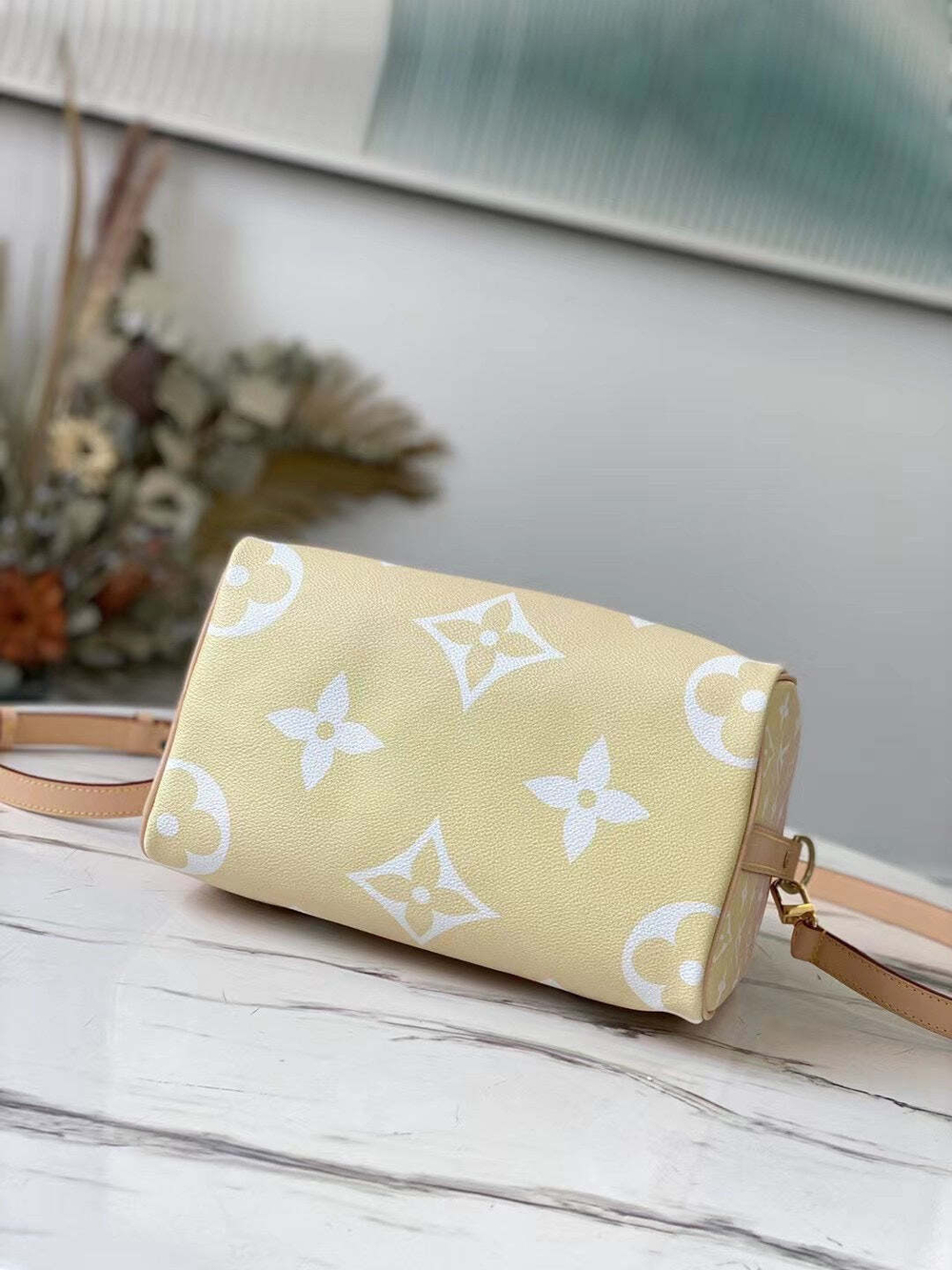 Louis Vuitton Speedy 25