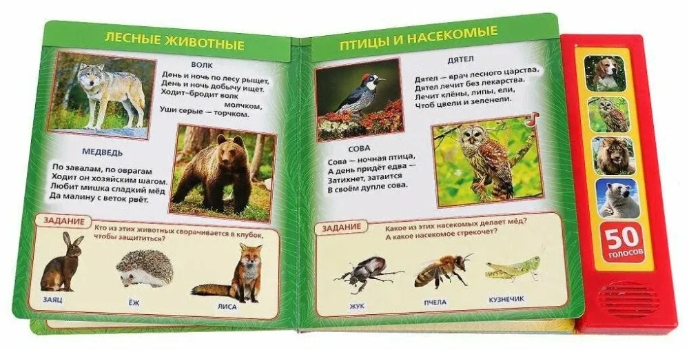 Музыкальная книжка "50 голосов животных"