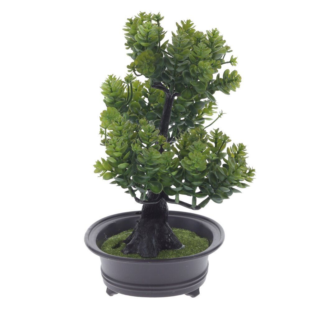 GAEM Цветочная композиция "Бонсай", L24 W14 H26 см, 2в.