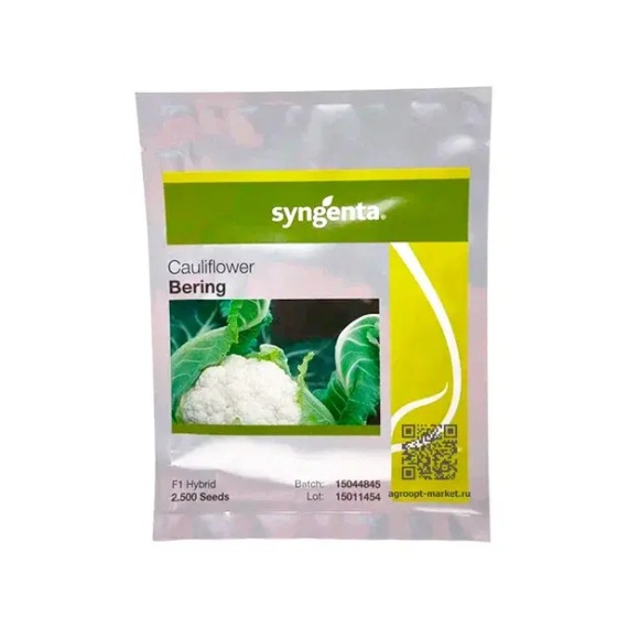 Беринг F1 семена капусты цветной (Syngenta / Сингента) – фото 4
