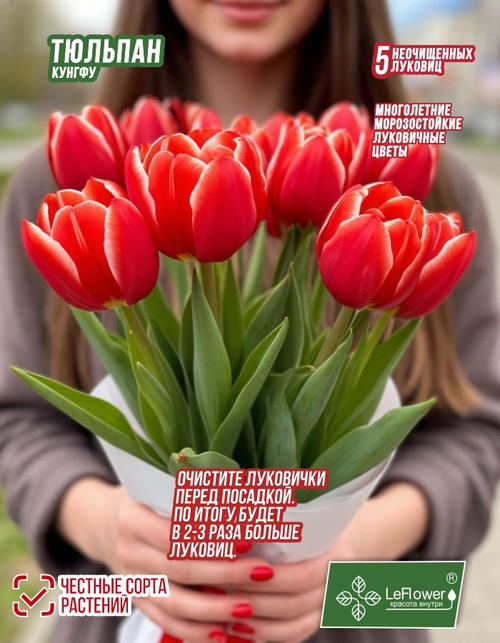 Тюльпан Луковица цветов, Кунг Фу 5 шт,