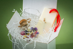 Набор «Яркий и Клементин»