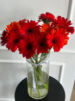 Гербера в красном оттенке от 1 шт