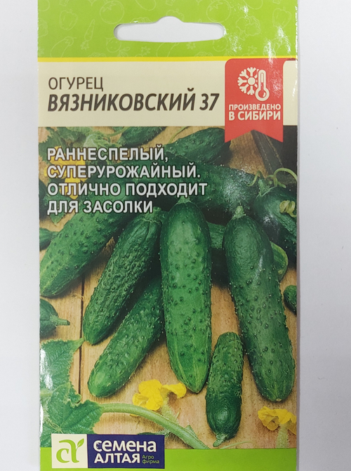 Огурец Вязниковский 37 0,5 г СМО-11