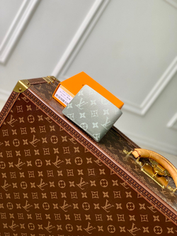 Louis Vuitton Multiple Wallet