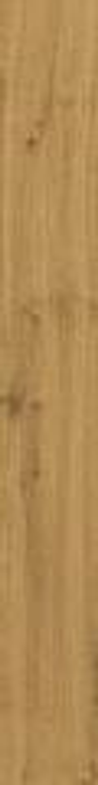 Atlas Concorde Heartwood Malt 18.5x250