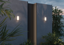 Настенный светильник (бра) Outdoor O454WL-L10GF3K