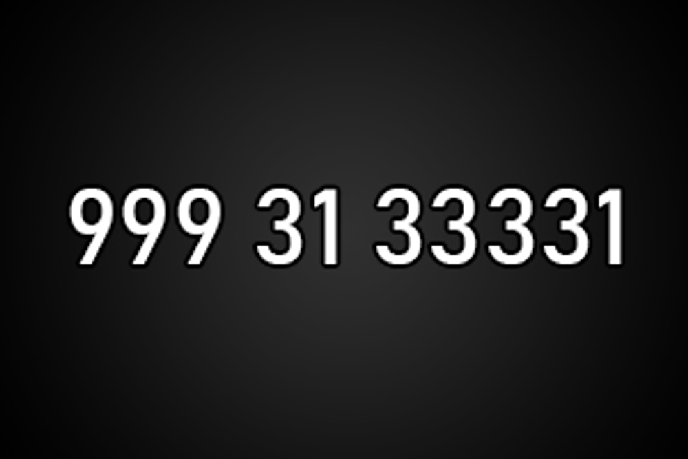9993133331