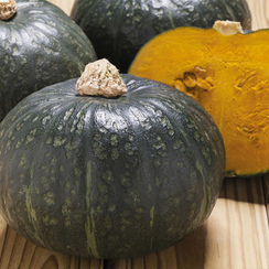 Констанза F1 семена тыквы (Takii / Таки)