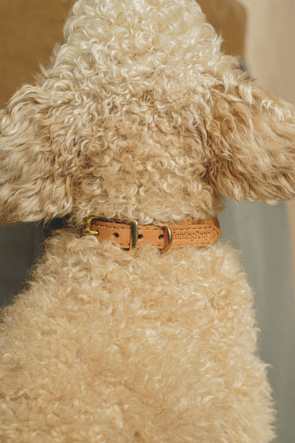 Ошейник "Пони-узелкони" Бежево-рыжий