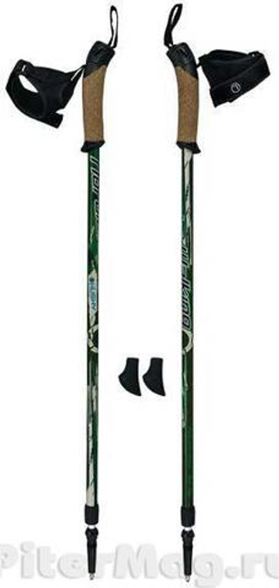 Палки для скандинавской ходьбы Husky Scale