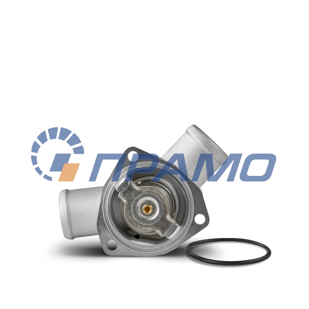 2110i-1306010 (ПРАМО) Термостат
