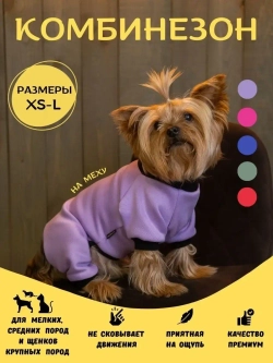 Комбинезон для собак кошек сфинкс кофта костюм для животных