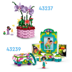 LEGO Disney Classic - Волшебный дом Мадригалов 43245 / артикул   43245  / GTIN 5702017601106