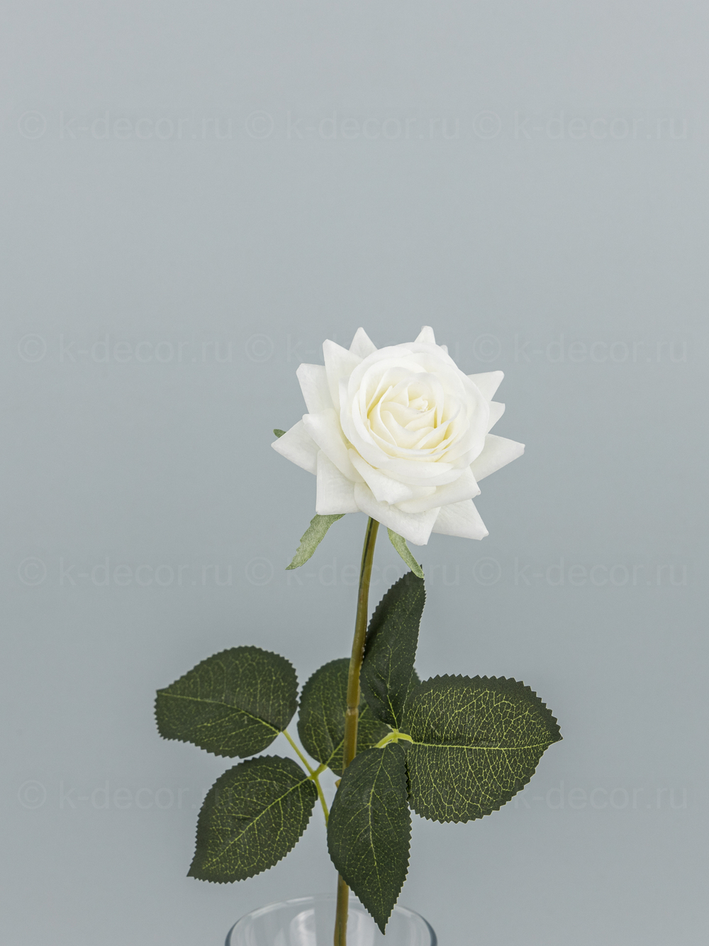 Роза Фелиция силикон